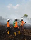 Tim SAR Direktorat Samapta Polda Kalbar memadamkan api karhutla di belakang SMKN 1 Sungai Raya, Kabupaten Kubu Raya.