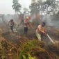 Polisi memperketat pemadaman karhutla yang berjarak sekitar 150 meter dari permukiman warga di Kubu Raya. (Foto: Res-KKR)