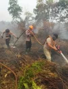 Polisi memperketat pemadaman karhutla yang berjarak sekitar 150 meter dari permukiman warga di Kubu Raya. (Foto: Res-KKR)