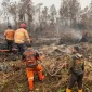 Gubernur Kalimantan Barat Ria Norsan mengimbau masyarakat tetap waspada terhadap kebakaran hutan dan lahan meski titik panas tercatat nihil.