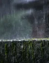 Ilustrasi - Hujan deras mengguyur Kota Pontianak setelah dilanda panas dan kabut asap karhutla. (Foto: unsplash.com/@kevin_w_)