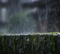 Ilustrasi - Hujan deras mengguyur Kota Pontianak setelah dilanda panas dan kabut asap karhutla. (Foto: unsplash.com/@kevin_w_)