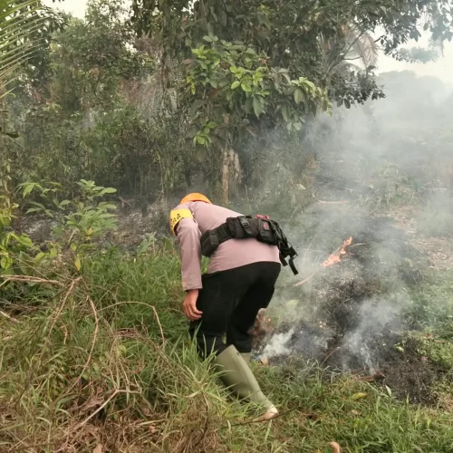 Personel Satgas Aman Nusa II menggunakan aplikasi Lancang Kuning untuk memantau hotspot karhutla di Kalimantan Barat. (Foto: Hms-Polda Kalbar)