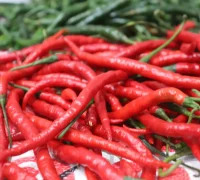 Ilustrasi cabai merah segar - Hasil panen petani Aceh Tengah sebagai komoditas utama program distribusi Cabai Terbang. (unsplash.com/@mufidpwt)