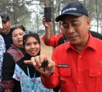 Wagub Kalbar Krisantus Kurniawan melepas tukik di Pantai Tanjung Api Sambas