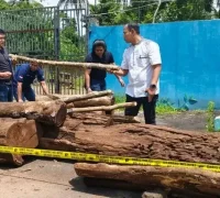 Petugas mengamankan barang bukti kayu hasil pembalakan liar di kawasan TNGC Kuningan. (Dok. Humas Polri)