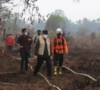 Penanganan karhutla di Kalimantan Barat dengan titik api dominan di kawasan gambut Ketapang dan Kubu Raya.