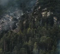 Ilustrasi: Polda Kalbar meningkatkan patroli dan kesiapsiagaan karhutla di wilayah rawan kebakaran hutan dan lahan. (freepik.com/wirestock)