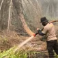 Petugas melakukan pendinginan lahan bekas karhutla di Parit Seruat Kubu Raya. (Res-KKR)