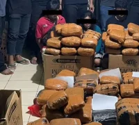 Polisi Polda Metro Jaya menunjukkan barang bukti 83 kilogram ganja hasil pengungkapan kasus peredaran narkoba di Bekasi. (Dok. Polda Metro Jaya)