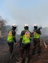 Tim SAR Polda Kalbar memadamkan titik api di Desa Punggur Kecil, Kubu Raya. (Foto: Hms-Polda Kalbar)