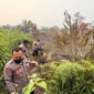 Polisi dan warga berjibaku memadamkan karhutla di kawasan Jalan Sungai Selamat, Pontianak Utara. (Foto: Res-Pontianak)