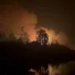 Tim gabungan memadamkan karhutla di lahan gambut Teluk Bakung, Kubu Raya.