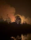 Tim gabungan memadamkan karhutla di lahan gambut Teluk Bakung, Kubu Raya.