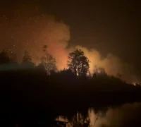 Tim gabungan memadamkan karhutla di lahan gambut Teluk Bakung, Kubu Raya.