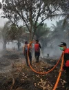 Tim gabungan melakukan pemadaman karhutla di lahan gambut Jalan Senen, Sungai Rasau, Singkawang Utara. (Foto: Res-skw)
