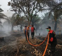 Tim gabungan melakukan pemadaman karhutla di lahan gambut Jalan Senen, Sungai Rasau, Singkawang Utara. (Foto: Res-skw)