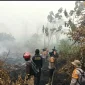 Tim gabungan memadamkan karhutla di lahan gambut Sungai Rasau, Singkawang Utara. (Res-Skw)