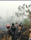 Tim gabungan memadamkan karhutla di lahan gambut Sungai Rasau, Singkawang Utara. (Res-Skw)