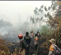 Tim gabungan memadamkan karhutla di lahan gambut Sungai Rasau, Singkawang Utara. (Res-Skw)