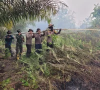 Tim gabungan memadamkan karhutla di lahan gambut Desa Padu Banjar, Kecamatan Simpang Hilir. (Res-KKU)