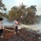 Tim gabungan memadamkan karhutla yang membakar lebih dari 20 hektare lahan di Simpang Hilir, Kayong Utara. (Res-KKU)