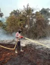 Tim gabungan memadamkan karhutla yang membakar lebih dari 20 hektare lahan di Simpang Hilir, Kayong Utara. (Res-KKU)