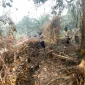 Tim gabungan memadamkan karhutla di Jalan Senen, Singkawang Utara, Kalimantan Barat. (Res-SKW)