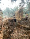 Tim gabungan memadamkan karhutla di Jalan Senen, Singkawang Utara, Kalimantan Barat. (Res-SKW)