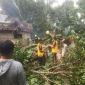Rumah warga rusak akibat angin kencang di Desa Setalik, Sambas. (Foto: Res-sbs)