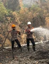 Tim gabungan melakukan pendinginan lahan karhutla di Sukadana Kayong Utara. (Res-KKU)